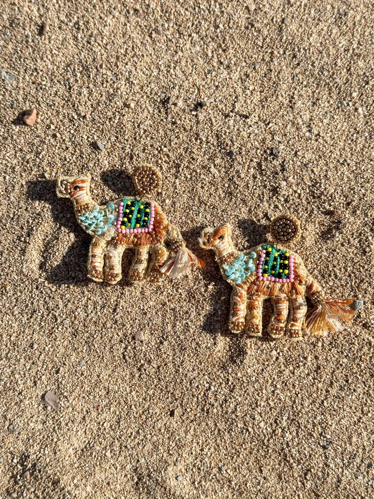 Earrings