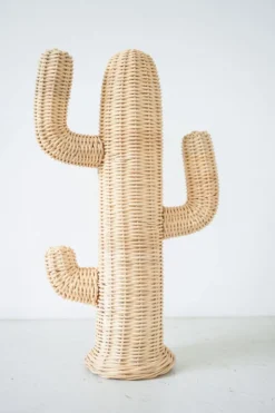 Rotan Cactus Pendek