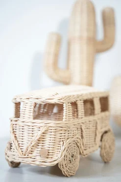 Rotan Mini Van